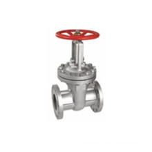 Stainless Steel 316 Gate Valve for Oil and Gas Industry